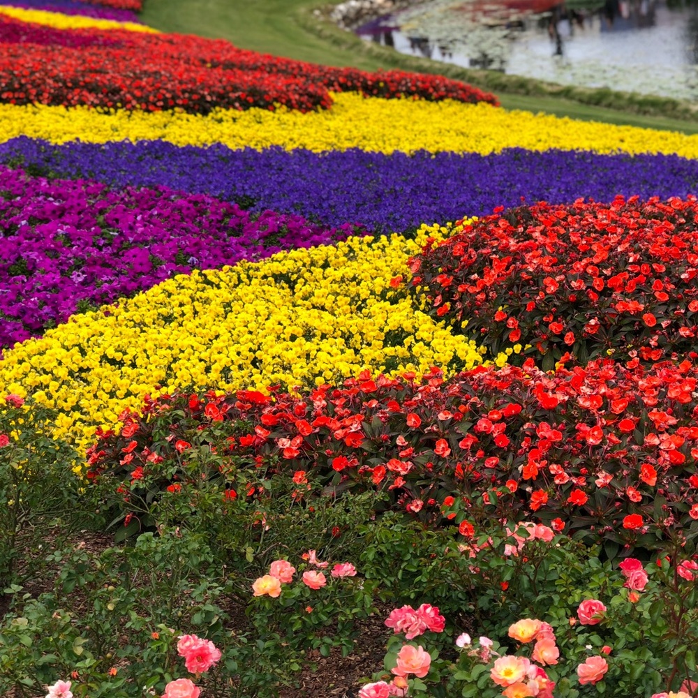 Meet your Posher, Shauntel